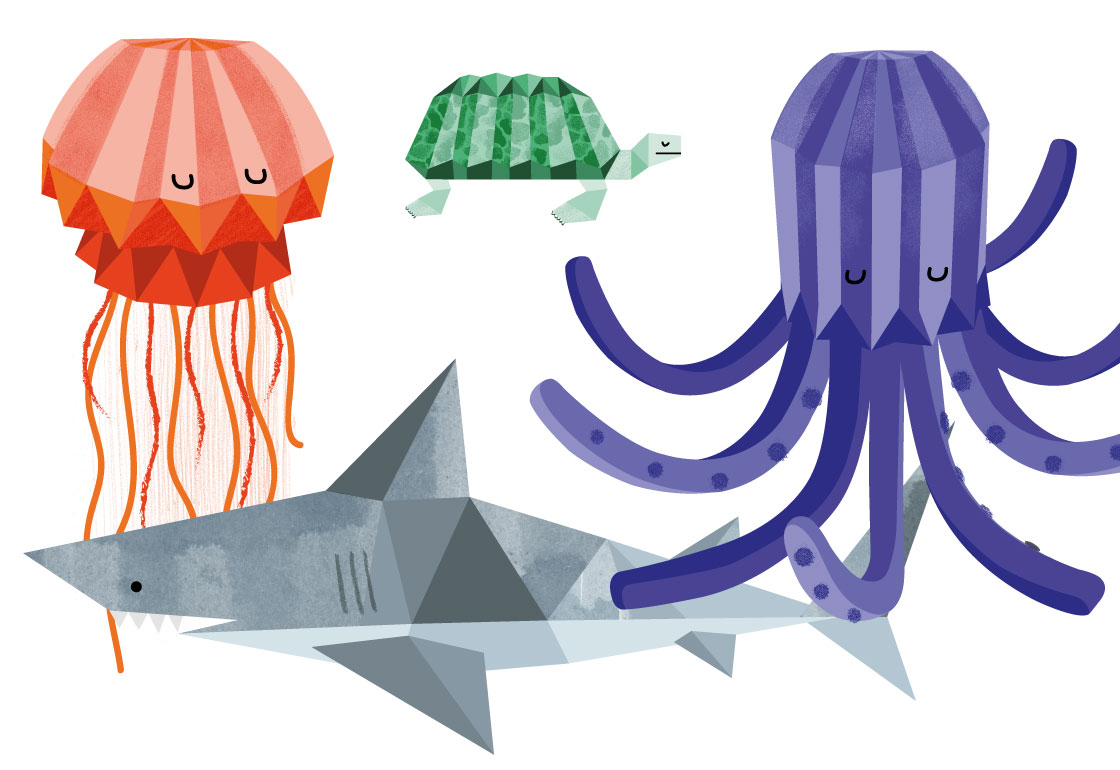 Illustrations of a jellyfish, turtle, octopus and shark